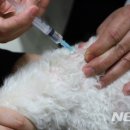 세종가축병원