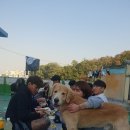 몽실이고기 이미지