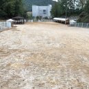 아리아펫 이미지