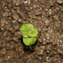 경희팔팔한의원 이미지