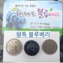 헤세드 - 서구 원당대로 865 | 헤세드