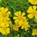 중계사랑북카페 이미지