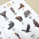 디자인아띠 | 아기 병풍 아띠래빗 내돈내산 사용후기