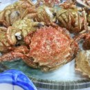 알펜옥비치 이미지