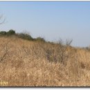 백록그집식당 이미지