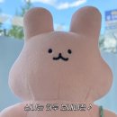 보보커피