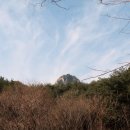 새신처럼 이미지