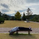 락스타 이미지