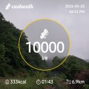 5월20일 단비내리는 날 이미지