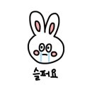 카페라리성남 이미지