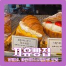 만천로 | [춘천]자유빵집 앙버터, 레몬머랭크로와상 맛집 내돈내산 후기 웨이팅 정보