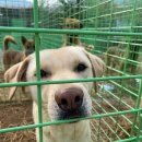 남은농장 이미지