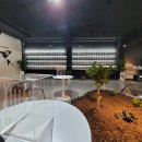 세븐디가든 | 청주 파충류샵 세븐디가든(7D_Garden)방문후기