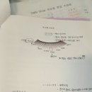 달리뷰띠끄