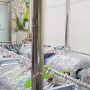크린토피아위례송파
