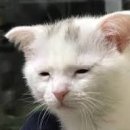 네일;담다 이미지