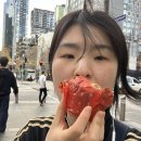 호주 멜버른 워홀 4주차 - 오지잡 적응 중
