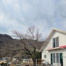 내돈내산 남해 다랭이마을카페 카페톨 후기