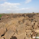 동일리 지석묘 4호 이미지