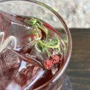 포레스트모가 이미지