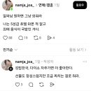 호텔와 Daum카페