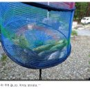 법수펜션 이미지