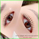 다인뷰티 | 청주 속눈썹펌 뷰티다인, 7주 유지력이 대단해요!