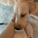 요시요시 - 고양시 일산동구 일산로 38 | 여름날 짧은 일상 | 성안길 카페 노이즈, 술집 요시요시 짧은 후기