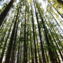 늘솔길공원양떼목장 이미지