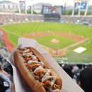 웰스 | 2026.04.22 한화 vs LG 직관승요 후기(웰스 완봉 아쉽다ㅠ)