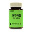이에스기술연구소 이미지