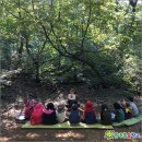 행복한숲유치원 이미지