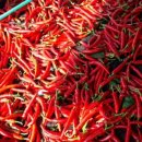 설화농장 이미지