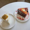 세종로 45번길 | [블챌] 여주 신륵사랑 출렁다리 걸어보고 올리브치아바타 재구매 하러감