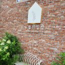 4월의밀밭 이미지