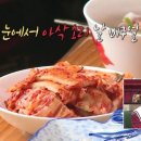 전라도밥상 Daum카페