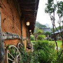 정원이있는 카페 이미지