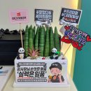 덱스워시대구