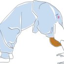 기체조 이미지