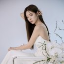 베리모먼트 이미지