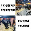 밀땅 이미지