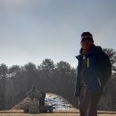 월산대군묘 및 신도비 이미지