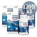 도리정 이미지