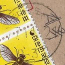 대구산격동우체국 이미지