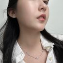 르 플리스(Le Plus)