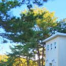 해림원 이미지