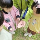실내초병설유치원 이미지