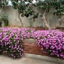 달리도 민박 이미지