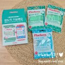 덴탈기획 | 올영추천템 국민치실 플랙커스 손잡이치실 마이크로민트 치실 2+1 기획