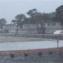 서상중고등학교 이미지